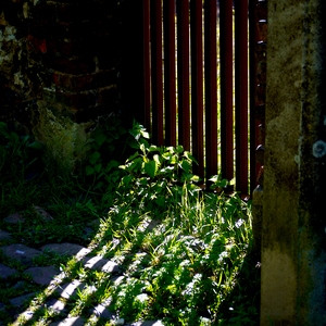 Porte de jardin en métal dasn une ruelle pavée avec ombres et lumières - Belgique  - collection de photos clin d'oeil, catégorie portes